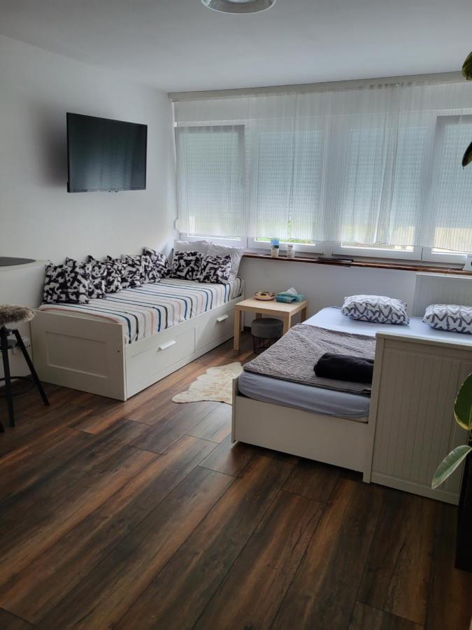 Studio Apartman Tamai Kutina Exteriör bild